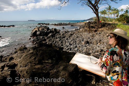 Pintora en la playa de Perouse Bay. Maui. Existen distintos eventos causados por actividad volcánica que pueden ser muy peligrosos para la vida y las propiedades. Entre ellos podemos nombrar ríos de lava, lahares (aludes de lodo), lluvia de cenizas, avalanchas de desechos y flujos piroclásticos. La roca fundida o magma que es vertida en la superficie terrestre se denomina: lava. Cuanto mayor porcentaje de silicio contenga la lava, más viscosa será. La lava baja en silicio puede avanzar más rápido, de 16 a 48 km/h (10-30 millas/h), lo que forma corrientes de lava que pueden ser angostas o amplias y que se extienden por varios metros. Entre 1983 y 1993, las corrientes de lava basáltica que fluyeron del volcán Kilauea, en la gran isla de Hawaii, destruyeron cerca de doscientas casas y la autopista que bordeaba el lado sur del volcán. Uno de los peligros más significativos de las erupciones es la capacidad de quemar y enterrar todo a su paso. Las corrientes de lava pueden hacer que las represas desborden o se rompan, causando inundaciones. Algunos métodos para controlar el avance de la corriente de lava incluyen: construir barreras de contención y canales para desviar el paso de la lava, enfriar la fuente con agua, o desestabilizar el avance de la lava con explosivos. Los volcanes (volcanoes) emiten gases durante las erupciones. Incluso cuando no está en erupción, las grietas en la tierra permiten que los gases escapen a la superficie. Los gases volcánicos más comunes son vapor de agua (90%), dióxido de carbono, hidrógeno, dióxido de azufre y sulfuro de hidrógeno. El dióxido de azufre puede reaccionar con los vientos y permanecer en la atmósfera causando lluvia ácida, lo que deriva en la corrosión y deterioro de la vegetación. El dióxido de carbono es más pesado que el aire y tiende a acumularse en letales concentraciones que pueden causar que animales y personas sufran asfixia. Las grandes erupciones inyectan dióxido de azufre en la estratósfera, y cuando se combinan con agua forman ácido sulfúrico. Por los rayos del sol, las partículas de ácido sulfúrico pueden bajar la temperatura de la superficie de la tierra algunos grados. También aceleran la destrucción del ozono liberando cloro y nitrógeno a la estratósfera. 