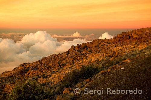 Haleakala National Park. Vistas desde el mirador de Leleiwi. Maui. La belleza asombrosa de Hawaii concuerda con la belleza de su gente, que contribuye a crear ese espíritu Aloha que hacen de las islas un lugar incomparable alrededor del mundo. Hawaii se destaca por su diversidad, un auténtico crisol de culturas cercanas y lejanas. Cuando miramos la diversidad de Hawaii de estos tiempos, tenemos un indicio de sus comienzos, cuando las islas comenzaron a habitarse por los polinesios, miles de años atrás. Misioneros cristianos desde Nueva Inglaterra llegaron a las islas en 1820, impactaron dramáticamente en la población nativa de Hawaii ya que trajeron con ellos enfermedades, y así se fue formando la población Caucásica o “haole” (extranjera). La mezcla cultural presente se da, en parte, gracias al peregrinaje de trabajadores de ananá (piñas) y de caña de azúcar provenientes de Portugal, Japón, China y otras naciones del este, en la mitad y fin del siglo XIX. Otros inmigrantes que siguieron incluyen puertorriqueños, filipinos y coreanos. Aproximadamente el 43.5 % de los residentes actuales de Hawaii nacieron en otros lugares, y es fácil ver la razón por la cual las personas viajan desde las distintas partes del mundo para hacer de Hawaii su hogar definitivo. Hoy, la isla de Oahu, que ostenta más residentes y visitantes que cualquiera de las demás islas juntas, es cariñosamente apodada “El lugar de encuentro”. Samoanos, tonganos, hawaianos, chinos, japoneses, maoríes, canadienses, tahitianos, vietnamitas, españoles, escoceses, irlandeses, italianos y demás etnias se combinan para dar vida a estas maravillosas islas. Cualquiera sea la isla donde usted esté, seguro encontrará personajes de distinta procedencia, locales o turistas, llenos de sabiduría e historias para contar. La fascinante mezcla de culturas de Hawaii hace que no sea raro escuchar varias lenguas distintas en las calles, incluyendo samoano, portugués, japonés, hawaiano, chino y pidgin (un dialecto local que combina una mezcla de idioma hawaiano e inglés).  