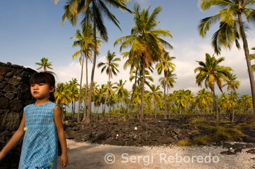 Palmeral en lo que fueron los jardines reales. Pu’uhonua o Honaunau Nacional Historic Park. Big Island. COMO LLEGAR No hay vuelos directos desde España, pero sí desde la costa oeste de Estado Unidos, como por ejemplo San Francisco y Los Ángeles. Por lo que podemos volar de forma directa a cualquiera de estas ciudades y aterrizar posteriormente en el aeropuerto internacional de Honolulu o el de Kahului en Maui. Para desplazarse por el interior, Mesa Airlines, Aloha Airlines y Hawaiian Airlines conectan las principales islas y destinos turísticos 