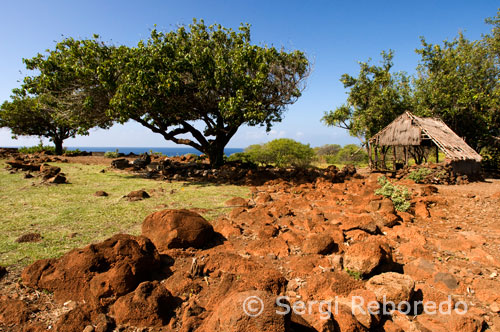 Lapakahi State Historical Park, where fishermen lived Hawaiians for centuries until the place was left without water. Big Island. The second group of settlers arrived on the year 1000 from Tahiti. In the times of the ancient Hawaiian social structure consisted of four social groups. The highest ranking were the district chiefs or ali'i. The communities were hierarchical and these administered each division of land called ahupua'a. Its mission was to ensure that natural resources were not wasted and religious laws were being met to split table. It was believed that they were direct descendants of the gods and as such had to be considered sacred.