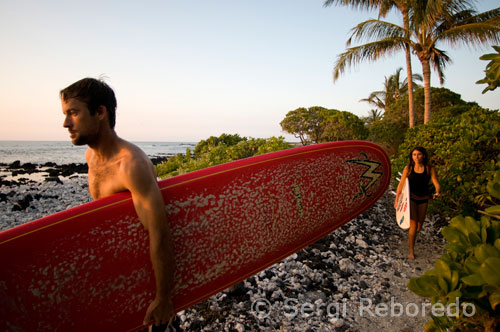 Surfer on the beach in Waikoloa. Big Island. To enter the Pu'uhonua O Honaunau National Historical Park is necessary to buy a ticket that costs five flycatchers and is valid for one week. The Lapakahi State Historical Park is free and the Polynesian Cultural Center offers tickets ranging between 43 and 65 dollars depending on whether the input is acquired only includes buffet or Ali'i Luau.