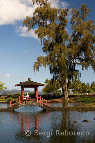 Jardín estilo japonés Lili’uokalani Park en Hilo. Big Island.  Los Orígenes del Hula El hula nació como una manera de adorar a los Dioses. En la antigüedad, el hula se danzaba en una plataforma que a su vez tenía un altar con la figura de la diosa Pele. Los trajes tradicionales incluían leis, una pau (pollera) y brazaletes hechos con huesos de ballena o dientes de perro en los tobillos. Los trajes de hoy en día son más modestos y la escuela de Halau Hula requiere polleras largas y un top para las mujeres, mientras que los hombres pueden elegir entre usar pantalones o un malo (una tela enrollada por debajo y alrededor de la entrepierna). Hombres y mujeres participaban en los hulas, tal como lo hacen hoy en día; pero los cantores o cantantes, fueron y son hombres. El canto, o mele, cuenta la historia, mientras el hula o la danza, enfatiza la historia con movimientos de manos y pies que forman parte de una coreografía. El hula que danzan los hombres es más vigoroso que las danzas más lánguidas que son interpretadas por las mujeres. El hula es acompañado por instrumentos. La música ayuda a mantener el ritmo tanto para los músicos como para los bailarines. Tradicionalmente, las calabazas, las cañas de bambú y los palos se utilizaban para crear música. Un tambor de calabaza llamado ipu, era acompañado por un doble tambor de calabaza llamado ipu heke. Las tobilleras hechas con dientes de perro eran consideradas instrumentos de música también. En la era moderna, se utiliza el ukelele para mantener el ritmo, incluso guitarras y bajos pueden ser usados para sumar profundidad al sonido y realzar el ritmo. La Prohibición del Hula y su Renacimiento Con la llegada de los misioneros, a principios del 1800, el rol del hula comenzó a cambiar. Los misioneros protestantes denunciaron al hula como un baile pagano y pronto fue prohibido. Los misioneros condenaban los movimientos, la vestimenta ligera y la adoración a múltiples dioses. La Realeza hawaiana fue incitada a denunciar el hula, y lo hicieron poco después. Pero el hula no murió. Era practicado en secreto y transmitido entre familias. Con la venida del Rey David Kalakaua, el hula revivió y lentamente comenzó a sufrir cambios. El Rey Kalakaua era muy partidario de las artesanías tradicionales hawaianas. Pronto, el hula que se practicaba pasó a llamarse Hula Kui, “viejo y nuevo”, ya que combinaba el estilo tradicional con nuevas interpretaciones de las viejas danzas. Con el comienzo del turismo como negocio en Hawaii a comienzos del siglo XX, el hula pasó por otro cambio. El hula comenzó a representarse en películas con melodías suaves y muy distintas a las del verdadero hula. Nuevas canciones fueron escritas para estos nuevos estilos de hula así como fueron diseñados nuevos y bellos atuendos con la idea de atraer al turismo. Fueron muy populares las polleras de celofán y las melodías románticas que fueron interpretadas especialmente para los turistas. Las escuelas donde se enseñan estas danzas o Halau Hulas, seguían enseñando el hula tradicional, que era practicado por los adultos. Los trajes tradicionales para el hula son modestos y no reflejan lo que representa la versión de Hollywood.