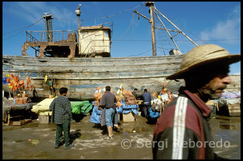 Essaouira. La tasca que desenvolupen aquests pescadors, es un treball manual, gairebé artesanal, en unes condicions molt complicades. Perquè el Oceà Atlàntic no rep precisament amb un somriure als que en ell s'endinsen a despullar de les seves alegres i saborosos habitants. En petits closques sota un sol abrasador i una sal marina que davant l'absència de qualsevol protecció sempre es cobra la seva factura en forma de nafres que s'adoben la pell i també el ànima. Veure'ls treballar és un plaer per a la vista. No atien entre ells ni coneixen la pressa, però cadascú té el seu paper exerceixen amb cura i tots junts semblen una gran família on els peixos de la mar són els seus cosins germans i les gavines seu animal de companyia.