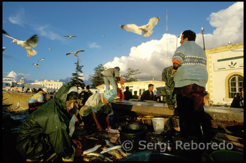 Essaouira was, from the early nineteenth century, the most important port in Morocco, enabling the exchange of various goods to all corners of the known world. The importance was such that traders joined sub-Saharan Africa and to Timbuktu and the various tribes of the Atlas mountains and the city of Marrakech. Typical Berber constructions built with mud bricks and flat roofs have changed little over the centuries. The homes, located in the Atlas Mountains, rising to a height of three or four plants depending on the number of people making up the family. Although Tafraoute itself has hardly changed in recent years, if they have the surrounding villages, mainly located under the mass of Jbel Leskt, which closes the valley by the norte.- These towns, surrounded by almond, olive , argan trees and palm trees have been growing in a visible manner parallel to the decline of traditional architecture and the invasion of concrete.