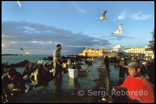 Essaouira está situada en la costa occidental del Atlántico en Marruecos, en la región de Marrakech-Tensift-El Haouz y es conocida por varios apodos como "La perla del Atlántico" y "La Bella Durmiente". Su nombre esta "hermosamente trazada" de la palabra árabe Souirah. Esta ciudad Patrimonio de la Humanidad, mantiene el encanto y la autenticidad de una tierra perdida en el tiempo. Aquí es donde termina el Mediterráneo: la última fortificación amurallada en las orillas atlánticas, cuyas casas parecen clonadas con los "pueblos blancos" de Andalucía. En el centro del pueblo se encuentran varias tiendas regentadas por berebers y repletas de multitud de souvenirs, antigüedades, arte, ropa y todo un amplio abanico de objetos elaborados a mano. Una de estas tiendas es La Maison Touareg, que se encuentra cerca del Zoco, y en ella podemos encontrar infinidad de alfombras para todos los bolsillos. En el centro del pueblo se encuentran varias tiendas regentadas por berebers y repletas de multitud de souvenirs, antigüedades, arte, ropa y todo un amplio abanico de objetos elaborados a mano. Una de estas tiendas es La Maison Touareg, que se encuentra cerca del Zoco, y en ella podemos encontrar infinidad de alfombras para todos los bolsillos.  Botánicamente, esta región presenta también algunas particularidades muy destacables -y máxime cuando está situada en un macizo de corte desértico como al Anti Atlas- como la existencia de bosquetes residuales de encinas, que, aunque muy degradados y de muy dificil regeneración, sobreviven en esta región del Anti Atlas, a alturas superiores a 1.500 m, donde han resistido mejor la presión del pastoreo, siéndo éste prácticamente el límite sur de su distribución en Marruecos (aunque también se encuentran algunos bosquetes de similares características en las montañas cercanas a Sidi Ifni).