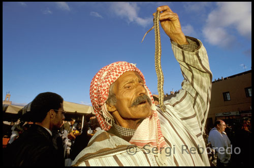 El centro de toda actividad sigue siendo Jemaa-el-Fna. La gran plaza de Jemaa-el-Fna es el centro de la vida de la medina tanto por el da, como por la noche. Durante el da, es un mercado y lugar de reunin con puestos en los que se venden naranjas, frutos secos y otros productos tpicos. A partir de la hora del almuerzo, la plaza comienza a llenarse de artistas que comparten el espacio con los vendedores, aunque es realmente al anochecer cuando el lugar cobra vida. A las 17.00, el traqueteo de las carretas anuncia la llegada de los puestos de comida, en los que se preparan todo tipo de platos de verduras, carnes y pescados. A las 21.00, la plaza est repleta de artistas de todo tipo, desde encantadores de serpientes, cantantes y msicos hasta contadores de cuentos y acrbatas. Los faquires y los curanderos se unen al ?? espectculo ofreciendo pcimas curativas para cualquier dolencia o mal imaginable.