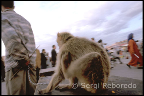 Marrakech. Plaza de Jemaa el Fna. La plaza de Jemaa el Fna.- No se puede decir que Jemaa el Fna sea una plaza en el sentido europeo de la palabra. Es más bien un gran espacio abierto, sin forma regular alguna, con una vida impresionante. Su nombre, sin embargo, nada tiene que ver con la casi incesante actividad que se desarrolla en su irregular superficie. Su nombre podría traducirse como Asamblea de los muertos ya que hasta la llegada de los franceses a principios del siglo XX, este lugar era el escenario de las ejecuciones públicas. Originalmente, este espacio formaba parte del palacio de la dinastía almorávide y era utilizado para la realización de festejos y desfiles militares. Tras la llegada de los almohades, el edificio fue demolido y la plaza quedó como el gran espacio público que hoy es. La actividad apenas cesa a lo largo de todo el día. Por la mañana alternan los carruajes de zumos, las tatuadoras de henna, los dentistas callejeros, los aguadores o los encantadores de serpientes.