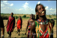 The Maasai , a warrior and nomad aristocracy that once dominated large sheets extending between Kenya and Tanzania in a vast region of East Africa, today languishes in an unstoppable decline absorbed by the sweeping machine of Western civilization . Although still some clans and groups struggling to survive while maintaining their own cultural traits , isolating more areas invaded by the tourism industry . Their way of life and economy has been and is still based in a society that practices such pastoral nomadism in search of better pastures to feed their cattle , the main reason for all their cultural tradition. The Maasai are a community made up of about 200 to 300,000 people united by a language of Nilo- Hamitic origin known as Maa . The Maasai ethnic group is comprised of four distinct tribal groups : the Samburu , the arbusa , the baraguyu and the Masai . The latter were considered over time as the main group, military and socially dominating the other groups of their own ethnicity and other neighboring ethnic groups , including the Kikuyu and Nandi.