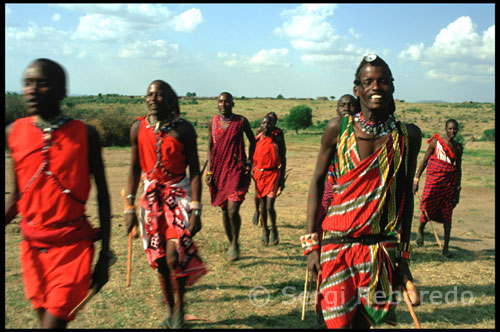 Ritos y danzas de celebración masai. Los masais adornan su cuerpo exageradamente utilizando llamativos collares, brazaletes y pendientes. Aparte de las telas con las que se cubren el cuerpo, su indumentaria sólo se compone de unas sandalias, curvas porque están fabricadas por ellos mismos con caucho de ruedas de coche (estas mismas sandalias han inspirado las populares, y carísimas, MBT). Además, los masáis se adornan con vistosos collares y suelen alargar los lóbulos de sus orejas para colgarse pesados pendientes. La sociedad masái se organiza en grupos de edad masculinos.  La posición social de un hombre se mide en número de animales e hijos. No tienen jefes, aunque sí un líder espiritual. Creen en un dios que habita en todas las cosas, las buenas y también las malas.
