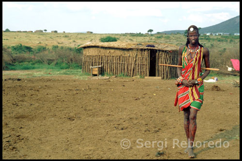 One of the main features that always defined profiles culturalesde the Maasai , differentiating them from other cultures in the region, has been his deep contempt for agriculture, considering it an unworthy and impure activity for a stocking aristocracy as they are, also radically rejecting the products of the land cultivated as a food source . The Maasai live forever rooted exclusively to their cattle , arriving to establish a loving relationship with him in which man may feel more affection for his oxen to his wife. It is a significant fact that in the Maa language men and oxen are designated in the same way . So cattle is for them, a unified manner , the most representative symbol of wealth and power. When the Masai came in relation to other cultures of the geographical environment and knew their ways of life they considered inferior , reaching the absolute conviction that they were a superior race. The Maasai women are in charge of building the cottages where they live. A village consists of several of these cabins arranged in a circle and protected by a fence. In the middle of the circle lie animals. The houses are made of interlocking branches , grass and cow dung for lining . Have a cylindrical shape , small size and low height , although they can sleep in several families. With little ventilation, cooking inside them.