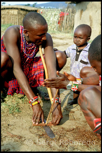 Un masai cerca de su cabaña que se construyen normalmente con ramas y troncos de madera embadurnados con excrementos de sus propios bueyes. El día de la boda, la mujer Masai, luciendo su pelo rapado, adornada con toallas de colores y abalorios blancos, parte hacia la casa de su futuro marido desde la del padre, quien la bendice escupiéndole leche sobre el cuello. Llegado este punto, casarse es una decisión irrevocable; la creencia Masai dice que si se arrepiente y vuelve sobre sus pasos, se convertirá en una vulgar piedra. Durante el camino se ve agasajada por mujeres del poblado, quienes le regalan terneros y cabras, y una vez llega a casa del hombre, éste le da de beber leche agria en una calabaza, lo que constituye el momento cumbre de la ceremonia. Consumada la boda, la mujer pasa a formar parte, como una posesión más, del patrimonio del hombre. El Masai puede casarse con cuantas mujeres considere oportuno -se trata de una sociedad que tolera la poligamia e incluso la promiscuidad-, siempre que pueda mantener a todas ellas y garantizarles la dote. Tampoco está mal visto que la mujer Masai mantenga relaciones extramatrimoniales con hombres de la misma edad del marido, bajo la condición de mantenerlo al corriente, y éste lo consiente pues según envejece va siendo consciente de que no puede satisfacer a todas sus esposas.