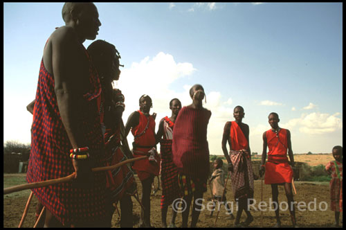 Todavía durante el siglo XIX los masais eran temidos, ya que dominaban al resto de los pueblos del este de África. Tenían los mejores pastos y practicaban sin pudor, ni resistencia el rapto y robo de ganado. Toda su fuerza se basaba en una organización militar. Si bien su rasgo nómada, relacionado con el mantenimiento del ganado, impidió la organización de un estado, lo que más tarde les acarrearía su descomposición como pueblo, actuando decisivamente este factor en detrimento de su civilización. Se intenta siempre que la mujer quede encinta nada más casarse, estando prohibida toda relación sexual entre cónyuges hasta que los hijos nazcan. Al hombre también le son vetados algunos privilegios, como el de visitar la cabaña del parto durante los diez primeros años o el de comer en casa hasta que el hijo aprenda a andar. Pero la mujer es quien acaba pagando las mayores penitencias tras el enlace; aunque la más veterana del harén posee cierto poder sobre las demás, ha de padecer, como el resto, ciertas situaciones humillantes. Es tradición que la familia del novio la reciba en el primer encuentro a base de insultos y estiércol -como alegoría de la dura vida que emprende y la necesidad de fortalecer su carácter-, y durante sus años de matrimonio, debido a la cosificación que sufre, puede ser prestada por el marido a cualquier amigo que esté de paso por el poblado y necesite satisfacer alguna necesidad venérea.