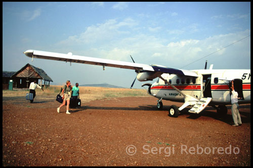 Airkenya vuela tres veces al día durante todo el año desde el aeropuerto de Wilson en Nairobi hasta Masai Mara. La urbe y los Masais  Pero esta exhibición de vida salvaje no es, aunque resulte increíble, el mayor tesoro que queda prendido al corazón del viajero. A la hora de partir, cuando, de vuelta a Nairobi, regresa el asfalto y comienzan a verse las primeras gasolineras, las primeras casas de uralita, por el proyector de la memoria comienza a pasar los irrepetibles rostros humanos que se quedan en aquella remota sabana, y el jeep se convierte en un inesperado funeral por lo que se deja atrás. Lo más admirable de la tierra masai son sus gentes. En otro tiempo temidos guerreros, los masai mantienen costumbres ancestrales y continúan poniendo su vida de pastores nómadas a disposición de su ganado. La vaca es el elemento central sobre el que gira el universo masai. De ella obtienen la leche y la sangre con la que se alimentan. Con sus cuernos y sus pieles fabrican utensilios imprescindibles para una vida nómada. Con el abono de las reses construyen sus casas. La vaca es además moneda de curso corriente hasta para comprar una esposa. Así que, como si de modo inconsciente el visitante quisiera llevarse para su casa leves calmantes contra el dolor del mal de África, la maleta regresa cargada de baratijas inservibles, recuerdos de los masai, que en el considerado primer mundo adquirirán un valor sentimental inmenso.   La morriña de aquellas tierras y sus hospitalarias gentes es tan intensa a la vuelta que hasta la tierra roja que mancha los zapatos cuesta trabajo de desprender una vez se ha abandonado aquel lugar de imponentes fieras y sonrisas perennes.