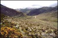 Paisatge muntanyós. Carretera a Bec l'Àguila. Veneçuela. El meu viatge per Mèrida conclou amb Una visita a la Zona Nord Propera 1 Apartadors. Una carretera solitària enmig de l'erm em Porta un Bec l'Àguila. El meu Intenció és poder OBSERVAR l'Còndor Andino en acció. Estic d'Surte, uns metres Pocs de la meva desplega SEUS desgràcia l'au voladora més gran Directius del Món. És Tot un Espectacle veure Com Planeja en cercle buscant ALGUN mort animal.