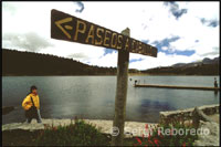 Passejades a cavall des de la Llacuna Mucubají a la Laguna Negra. Veneçuela. Prossegueixo meu viatge cap al Centre de Visitants Faustino Díaz, lloc on és possible aparcar el cotxe i recollir tota la informació actualitzada del Parc Nacional Sierra Nevada. Caminant des d'aquí, en tot just deu minuts, apareix davant meu la Llacuna Mucubají, el llac d'origen glacial més gran del lloc, encara que la meva intenció és arribar fins a la Laguna Negra. Es troba a tan sols dues hores caminant o una hora si trio explorar la zona llogant un cavall.