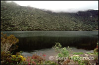Paisatge muntanyós entre la Llacuna Mucubají i la Llacuna Negra. Veneçuela. Des de la llunyania i envoltat de frailejones observo la boira que envolta la Llacuna Victòria. Una bona estona després per fi arribo a la Laguna Negra. El lloc es tenyeix de misteri a causa del color sempre fosc de les seves aigües, la qual cosa és a causa del reflex de la densa vegetació verda fosca en la superfície de l'aigua. Tots els presents guardem un silenci sepulcral, com tement trencar l'encantador encanteri en què ens trobem sumits, sent conscients que estem en el lloc més bonic que hàgim pogut imaginar.