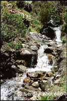 Paisatge muntanyós entre la Llacuna Mucubají i la Llacuna Negra. Veneçuela. Des de la llunyania i envoltat de frailejones observo la boira que envolta la Llacuna Victòria. Una bona estona després per fi arribo a la Laguna Negra. El lloc es tenyeix de misteri a causa del color sempre fosc de les seves aigües, la qual cosa és a causa del reflex de la densa vegetació verda fosca en la superfície de l'aigua. Tots els presents guardem un silenci sepulcral, com tement trencar l'encantador encanteri en què ens trobem sumits, sent conscients que estem en el lloc més bonic que hàgim pogut imaginar.