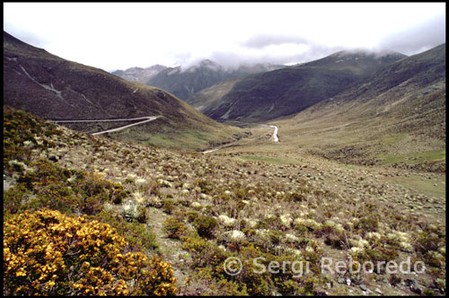 Paisaje montañoso. Carretera a Pico el Águila. Venezuela. Mi viaje por Mérida concluye con una visita a la zona Norte próxima a Apartaderos. Una carretera solitaria en medio del páramo me lleva a Pico el Águila. Mi intención es poder observar al Cóndor Andino en acción. Estoy de surte, a pocos metros de mi despliega sus alas el ave voladora más grande del mundo. Es todo un espectáculo ver como planea en círculo buscando algún animal muerto.  El pico Bolívar es el accidente geográfico más alto de Venezuela, alcanzando los de 4978,4 ±0,4 msnm.1 Forma parte de un conjunto de picos ubicados en Sierra Nevada dentro del parque nacional homónimo en la Cordillera de Mérida (Estado de Mérida). Junto con los picos hermanos: Humboldt y Bonpland forman los principales picos de la cordillera de Los Andes venezolanos. Recibe su nombre en honor al Libertador venezolano Simón Bolívar, en abril del año 1951 fue develado un busto en bronce del Libertador en la cumbre del pico, obra del pintor y escultor Marcos León Mariño.