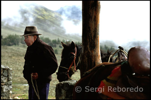 Paseos a caballo desde la Laguna Mucubají a la Laguna Negra.  Venezuela. Prosigo mi viaje hacia el Centro de Visitantes Faustino Díaz, lugar donde es posible aparcar el coche y recabar toda la información actualizada del Parque Nacional Sierra Nevada. Caminando desde aquí, en apenas diez minutos, aparece ante mi la Laguna Mucubají, el lago de origen glaciar más grande del lugar, aunque mi intención es llegar hasta la Laguna Negra. Se encuentra a tan solo dos horas caminando o una hora si elijo explorar la zona alquilando un caballo.  Valle La Mano Poderosa (3 horas – Nivel 1) En este paseo no es necesario ser jinete. Los niños (8 años mínimo), los novatos como los más expertos serán seducidos por los diferentes paisajes. El sendero los llevara por potreros, bosque nublado con variedades de helechos, bromelias, orquídeas, líquenes, cruzando de vez en cuando una quebradita, hasta llegar a una meseta donde podrán disfrutar de un buen punto de vista sobre La Sierra Nevada y el valle de La Mano Poderosa.   Filo del Oro (5 horas – Nivel 3 mínimo) Solamente para jinetes expertos, al principio 1km sobre carretera nacional / trasandina Barinas- Mérida. Después cruzaran El Chama y subirán hasta el camino real del Filo del Oro. En algunas partes, posibilidad de galopar.   La Cienaga (8 horas – Nivel 3 - 3km carretera nacional) Subirán por el Filo del Oro hasta llegar a Raíz de Agua. El regreso se hará por La Cienaga, atravesando un bosque nublado con su vegetación tropical de montaña, bien particular a Los Andes (orquídeas, bromelias, helechos arborescentes (mapora) etc.…).   Horsetrek Combi (Si desean cabalgar dos días con pernocta en la finca, solo nivel 3) Primer día: recorrido “Valle La Mano Poderosa “/ descripción mas arriba Segundo día:“Filo del Oro “ / descripción mas arriba