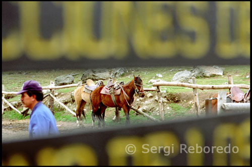 Paseos a caballo desde la Laguna Mucubají a la Laguna Negra.  Venezuela. Prosigo mi viaje hacia el Centro de Visitantes Faustino Díaz, lugar donde es posible aparcar el coche y recabar toda la información actualizada del Parque Nacional Sierra Nevada. Caminando desde aquí, en apenas diez minutos, aparece ante mi la Laguna Mucubají, el lago de origen glaciar más grande del lugar, aunque mi intención es llegar hasta la Laguna Negra. Se encuentra a tan solo dos horas caminando o una hora si elijo explorar la zona alquilando un caballo.  EVASION A LOS ANDES   El Rodeo: (3 dias) Primer dia: Finca - La Victoria. Atravesamos el bosque nublado de Raiz de Agua (orquideas , bromelias, helechos arborescentes (maporas)) para llegar al paramo de la Victoria - 3000 m - con su vegetacion tipica. Pernoctamos en carpa. Promedio a caballo 5 horas.  Segundo dia: La Victoria - El Rodeo. Entramos en la alta montana, la vegetacion se hace mas escasa, escaleras de piedras, pasos dificiles para su montura hasta llegar a la cueva del Rodeo.  - 3600 m - Promedio a caballo 3 horas.  Tercer dia: Regreso a la finca por la misma via - 6 horas -  Variantes segun el nivel de experiencia y el clima. Dormimos en la finca.   Los Aranguren: (5 dias) Este tour nos lleva dos veces a mas de 4.000 m.  Primer dia: Finca - La Victoria.  Segundo dia: La Victoria - El Rodeo. Tercer dia: El Rodeo - Los Aranguren. Pasamos el alto del Cardenillo (4100m) para acceder a uno de los valles mas hermoso de la Sierra Nevada, Los Aranguren -2900 m-, con camino antiguo de piedras, pintorescos bosquecitos de coloraditos. Recorrido de 6 horas.  Cuarto dia: Dia de descanso, posibilidad de pesca de trucha.  Quinto dia: Regresamos por el alto del Antoñito (4.100 m ) hasta la Finca donde pasamos la noche.- 8 horas de recorrido.   Gavidia: (6 dias) Este circuito que nos lleva tambien dos veces a mas de 4000 m, tiene la ventaja de dar una vuelta completa. Cada etapa ofrece un paisaje diferente.  Despues de tres dias de cabalgata llegamos al valle de los Aranguren donde pernoctamos.  Cuarto dia: El valle - El Altico de los Aranguren. La ruta nos lleva por la cañada Don Alfonso, hermoso cañon que permite el acceso al alto. Trayecto de 3 horas.  Quinto dia: Pasamos el alto de la Santo Cristo - 4100m - hasta llegar a la aldea de Gavidia - 3100m - (poblacion de agricultores ). 5 horas  Sexto dia: Gavidia - La finca Retorno progresivo a la civilizacion.  Noche en la Finca . Recorrido de 8 horas.