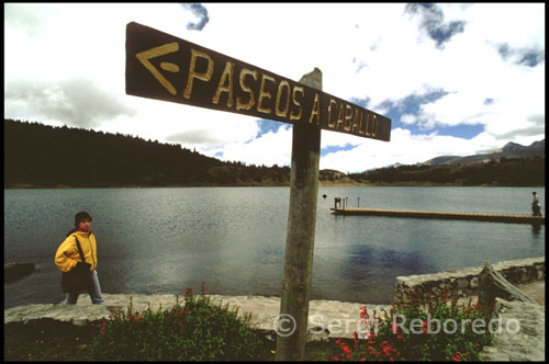Paseos a caballo desde la Laguna Mucubají a la Laguna Negra.  Venezuela. Prosigo mi viaje hacia el Centro de Visitantes Faustino Díaz, lugar donde es posible aparcar el coche y recabar toda la información actualizada del Parque Nacional Sierra Nevada. Caminando desde aquí, en apenas diez minutos, aparece ante mi la Laguna Mucubají, el lago de origen glaciar más grande del lugar, aunque mi intención es llegar hasta la Laguna Negra. Se encuentra a tan solo dos horas caminando o una hora si elijo explorar la zona alquilando un caballo. Los Aranguren: (5 dias) Este tour nos lleva dos veces a mas de 4.000 m.  Primer dia: Finca - La Victoria.  Segundo dia: La Victoria - El Rodeo. Tercer dia: El Rodeo - Los Aranguren. Pasamos el alto del Cardenillo (4100m) para acceder a uno de los valles mas hermoso de la Sierra Nevada, Los Aranguren -2900 m-, con camino antiguo de piedras, pintorescos bosquecitos de coloraditos. Recorrido de 6 horas.  Cuarto dia: Dia de descanso, posibilidad de pesca de trucha.  Quinto dia: Regresamos por el alto del Antoñito (4.100 m ) hasta la Finca donde pasamos la noche.- 8 horas de recorrido.   Gavidia: (6 dias) Este circuito que nos lleva tambien dos veces a mas de 4000 m, tiene la ventaja de dar una vuelta completa. Cada etapa ofrece un paisaje diferente.  Despues de tres dias de cabalgata llegamos al valle de los Aranguren donde pernoctamos.  Cuarto dia: El valle - El Altico de los Aranguren. La ruta nos lleva por la cañada Don Alfonso, hermoso cañon que permite el acceso al alto. Trayecto de 3 horas.  Quinto dia: Pasamos el alto de la Santo Cristo - 4100m - hasta llegar a la aldea de Gavidia - 3100m - (poblacion de agricultores ). 5 horas  Sexto dia: Gavidia - La finca Retorno progresivo a la civilizacion.  Noche en la Finca . Recorrido de 8 horas.  Durante el tour la carga es llevada por mulas arriadas por un mulero nativo de la zona.   Estos tres circuitos requieren algo de experiencia a caballo y cierto espiritu de equipo. Es muy importante un contacto previo, por esta razon esta incluido dormir en la Finca la noche anterior a la salida. Igualmente el traslado hacia la Finca.