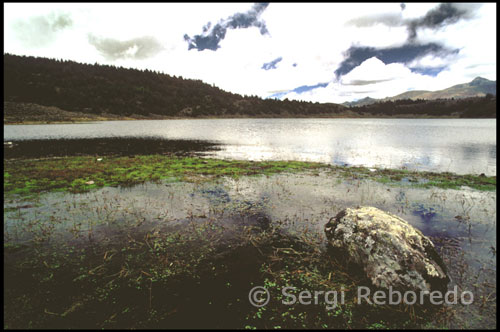 Paisaje montañoso entre la Laguna Mucubají y la Laguna Negra.  Venezuela. Desde la lejanía y rodeado de frailejones observo la niebla que envuelve la Laguna Victoria. Un buen rato después por fin llego a la Laguna Negra. El lugar se tiñe de misterio debido al color siempre oscuro de sus aguas, lo cual es debido al reflejo de la densa vegetación verde oscura en la superficie del agua. Todos los presentes guardamos un silencio sepulcral, como temiendo romper el encantador hechizo en el que nos encontramos sumidos, siendo conscientes de que estamos en el lugar más hermoso que hayamos podido imaginar.   Cuando visite la Laguna de Mucubají, considere seriamente hacer un paseo hacia la Laguna Negra. Ese paseo lo puede hacer a caballo o disfrutando de una linda caminata entre los frailejones y a través de los bosques de pinos. El paseo a caballo dura aproximadamente hora y media y a pie unas tres horas. La ida es en bajada, y el regreso puede ser bastante fuerte para una persona que no esté en óptimas condiciones físicas.