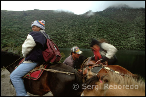 Paisaje montañoso entre la Laguna Mucubají y la Laguna Negra.  Venezuela. Desde la lejanía y rodeado de frailejones observo la niebla que envuelve la Laguna Victoria. Un buen rato después por fin llego a la Laguna Negra. El lugar se tiñe de misterio debido al color siempre oscuro de sus aguas, lo cual es debido al reflejo de la densa vegetación verde oscura en la superficie del agua. Todos los presentes guardamos un silencio sepulcral, como temiendo romper el encantador hechizo en el que nos encontramos sumidos, siendo conscientes de que estamos en el lugar más hermoso que hayamos podido imaginar.  Desde la laguna Negra puede seguir la excursión (a pie) hasta la laguna de los patos y al pico Mucuñuque, el cual está a 4672 metros sobre el nivel en blanco, pero solo si usted es un excursionista preparado y avisa en el puesto de guarda-parques que va a realizar ese paseo, podrá llegar hasta allí.  Después de admirar por un tiempo la laguna de 630 metros de largo y 260 metros de ancho, tenemos dos opciones: devolvernos o ir a la cabecera de la laguna. Si tiene tiempo, no lo dude, llegue hasta la cabecera.