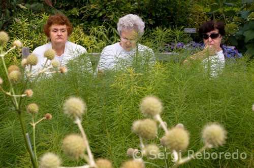 New York Botanical Garden. Located in the Bronx, the New York Botanical Garden is one of the largest and most reputable gardens of the United States. The Garden is a museum of plants worldwide, organized in 48 different collections of plants and gardens, which attract over 800,000 visitors each year. Since his visit to New York City will not have been motivated by the Garden we can not know what time of year we visited. Without doubt the best of all starts and ends with the spring summer is the time when an explosion of color with most flowering plants. Even as the Garden is designed with trees, shrubs and hedges that never lose their beauty always visit will be rewarded by these plants. If finally decided to visit the garden it is best to do it first thing in the morning. At eight already have it open, and inside a café for breakfast when you want, also will have no choice but to resort to this cafe because they are not allowed to enter with food. The entrance fee is five dollars. If you do not want to spend all day at Brooklyn Botanic Garden can select the most spectacular. If you have chance to see him in spring do not miss the area that will be cherry blossoms. At any time you like to see the area covered by greenhouses or conservatories, in which plants are most sensitive. All glass area is the most beautiful of the Garden.