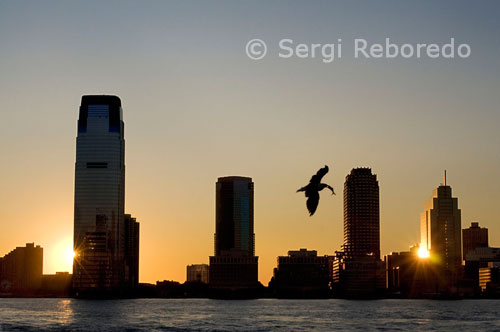 Sunset views of the Hudson River from Battery Park. A seagull just fish and the sun shines while hiding in one of the skyscrapers of Jersey. The Hudson River is a river of 506 km in length, which runs mainly by the State of New York, United States, partly forming the border between the states of New York and New Jersey. The river's name comes from Henry Hudson, an Englishman who sailed on behalf of France and the Netherlands, who explored the river in 1609. However, the first European to explore was the Italian Giovanni da Verrazano in 1524 whose expedition was funded by the Florentine merchants of Lyon and Francis I of France. The first detailed map of it was drawn soon after the Portuguese explorer Estevan Gomez who sailed on behalf of Spain, naming it San Antonio River. The official birth of the Hudson is Lake Tear of the Clouds (literally tear the clouds), in the Adirondacks Mountains. However, the river is derived from the lake is well known under the names of Feldspar Brook and then Opalescent River, rivers join the Hudson at the level of the city of Tahawus. The river is really true birth just a few miles north of Tahawus, at the height of Lake Henderson. The confluence of the Hudson River and Mowhawk, its main tributary, is located in Troy (north of Albany, the state capital of New York), in the south of Federal Dam (Dam federal literally) that makes confluence Upper Hudson River Valley and the Lower Hudson River Valley. From Troy, the Hudson is widened gradually, until it empties into the Atlantic Ocean between Manhattan, Staten Island and the coast of New Jersey in Upper New York Bay.