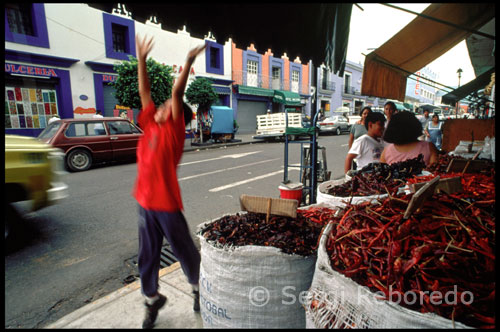 The most unique dish are the "red grasshoppers", tiny grasshoppers served as an aperitif, very salty and have their own legend: those who try them say always end up returning to Oaxaca. The most appropriate scenario to look and observe, teach and share, is at parties. In Oaxaca are held all: Christmas, Easter, All Saints, the Constitution, Labor Day, the Day of the Virgin (each town has its Virgin) or local saint, national heroes, historical victories and defeats, the Easter and, of course, New Year. There are special days to celebrate teachers, postmen, doctors or journalists. To this must be added that each neighborhood has its communal celebration and every family has their births, baptisms, confirmations, weddings and funerals, as well as celebrate the quinceañera, which are decorated to appear in society upon reaching the age of change. The festival in Oaxaca, the Guelaguetza, is the institutional form of reciprocity. The first two Mondays after July 16, representatives from each community in Oaxaca celebrated a party whose name means gift or offering mutual manifest signs and clues of the Hispanic tradition and decorated with music and dances the time to share the crops and activities each region: copies of pineapples, mangoes, blankets, baskets, beverages, breads and coffee rain over the guests as a symbol of the general willingness to share, exchange and survive together.