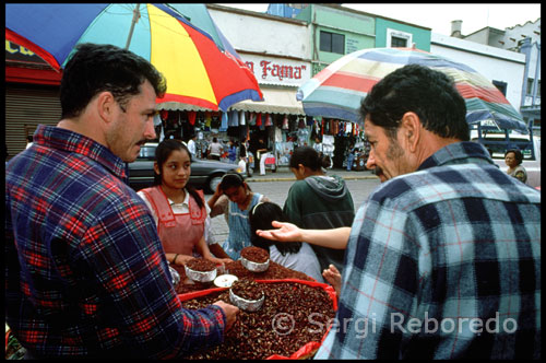 Chapulines