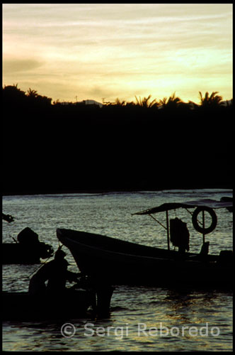 Nine of the eleven species of marine turtles in the world arrive to the coasts of Mexico and four total are destined coastal beaches of Oaxaca, where they nest and breed, and where the only research, conservation and monitoring of sea turtles in the world. Sea turtles know how to choose. The coast of Oaxaca is a paradise where many unspoiled bays concur, Luxury Hotels, mangrove lagoons, beaches, sports, fishing villages and idyllic golf courses. On these shores, once animated by ships seeking the gold of Peru or the silks from China, laden with legends and treasures, tourism has only to take off. From Huatulco to Puerto Escondido is one of the last paradises of the Pacific, ready to welcome those who want to find out. Both Lunes del Cerro (the first and eighth), the Guelaguetza auditorium beginning at the parade of bagpipes, marmots, giants and big heads, preceding the passage of the modest woman of Oaxaca, market women, the Oaxacan Chinese musical expression more typical: Valle syrup. Then come the regional representatives, with its unique traditional costumes and dances. The dance offering concludes with Feather Dance, music and dance reminiscent of the indigenous struggle with the Spanish conquistador. After each dance, showers the audience with their typical products, and, when fully completed the ceremony, attendees are enjoying the punches, pepitorias, gollorías, coconut candies, nougats and joys that vendors offer on the slopes of Mt.