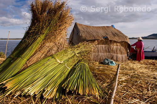 One of the most primitive pre-Inca Peru, home of fierce and brutal people, were conquered by the Incas, who considered them as a human sub village. These people lived in a perfect symbiosis with the Titicaca and lived exclusively on artificial islands that they wove on the shallow waters of the lake. As pure race is extinct since the mid-twentieth century, their descendants are today uro miscegenation Aymara speak Aymara, and retain many of their ancient customs. The Uros themselves the Kotsuña: The village lake. Current aurochs, inhabit the swampy area Chucuito Bay on Lake Titicaca, near Puno, where coexisting in a social political organization away from traditional forms of modern civilization.