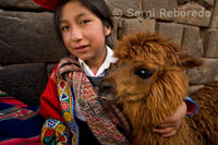 A girl next to her llama in the old town of Cuzco.