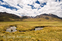 Peruvian altiplano landscape seen from inside the Andean Explorer train Orient Express which runs between Cuzco and Puno. PERU