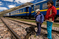 In half of the journey the train makes a stop at a place called La Raya, which coincides with the highest point of the track, 4313 meters. The Andean Explorer train Orient Express runs between Cuzco and Puno.