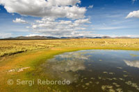 Peruvian altiplano landscape seen from inside the Andean Explorer train Orient Express which runs between Cuzco and Puno. PERU POSTCARD