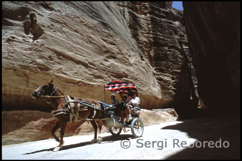La ruta principal d'entrada a Petra en l'època clàssica ja era el Siq, un llarg canó originat per un cataclisme. Té una longitud de 1,2 km i els seus penya-segats uns 100 metres d'altitud. L'entrada principal es troba senyalitzada per un arc del qual només es veuen les ruïnes. Petra, amagada després d'un canó del sud de Jordània, és el més majestuós tresor del país. Tribut a una perduda civilització, Petra és la sola justificació del viatge a Jordània. Excavada totalment a les roques naturals, les ruïnes de la ciutat nabatea mostren els seus temples, teatres, carrers ... La senyal de l'entrada li conduiran cap al Siq, una estreta gola que porta a l'interior de Petra. Un cop dins del canó, les parets escarpades semblen tancar-se quan sobrevé l'inesperat, el paisatge s'eixampla i aparèixer el sorprenent monument que domina Petra, el Tresor. Una jornada de cotxe arriba fins al cor de la història antiga en un viatge que no podrà oblidar mai.