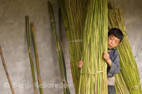 Un niño juega escondiéndose detrás de unas cañas de bambú en el camino de Sapa a las aldeas cercanas de Lao Chai y Ta Van.