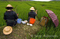 Unas mujeres hmong comiendo junto a un arrozal en el camino de Sapa a las aldeas cercanas de Lao Chai y Ta Van.