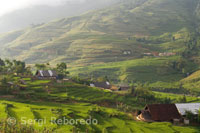 Casas junto a los arrozales en la aldea de Lao Chai. Trekking de Sapa a Lao Chai.