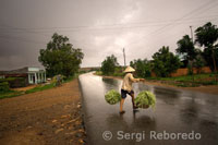 Una mujer regresa del campo después de llover en una carretera de las afueras de Mui Ne.